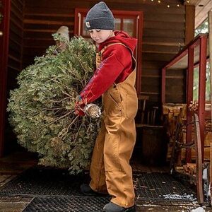 Carhartt Kids Brown Bib Overalls Sz 8